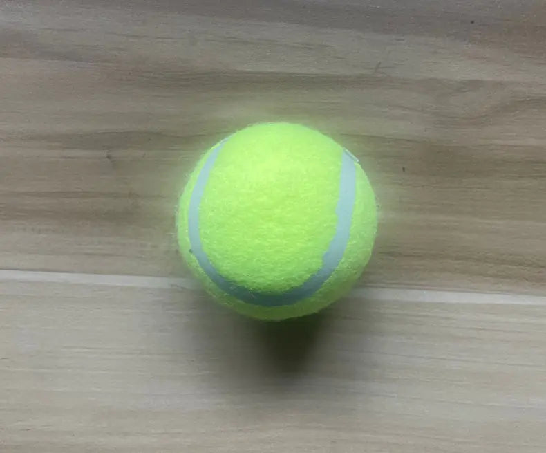 Pet Ball Launcher for Dog Training